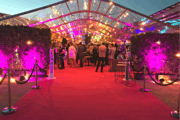 iRent - Clear+Roof+with+pink+lights